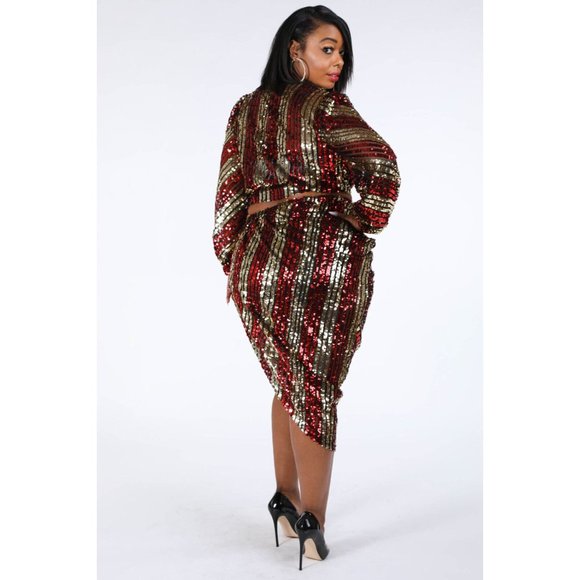 Women's Deep V-Neck Multicolor Casual Long Sleeve Stripe Sequin Two-Piece Sets - Picture 6 of 10